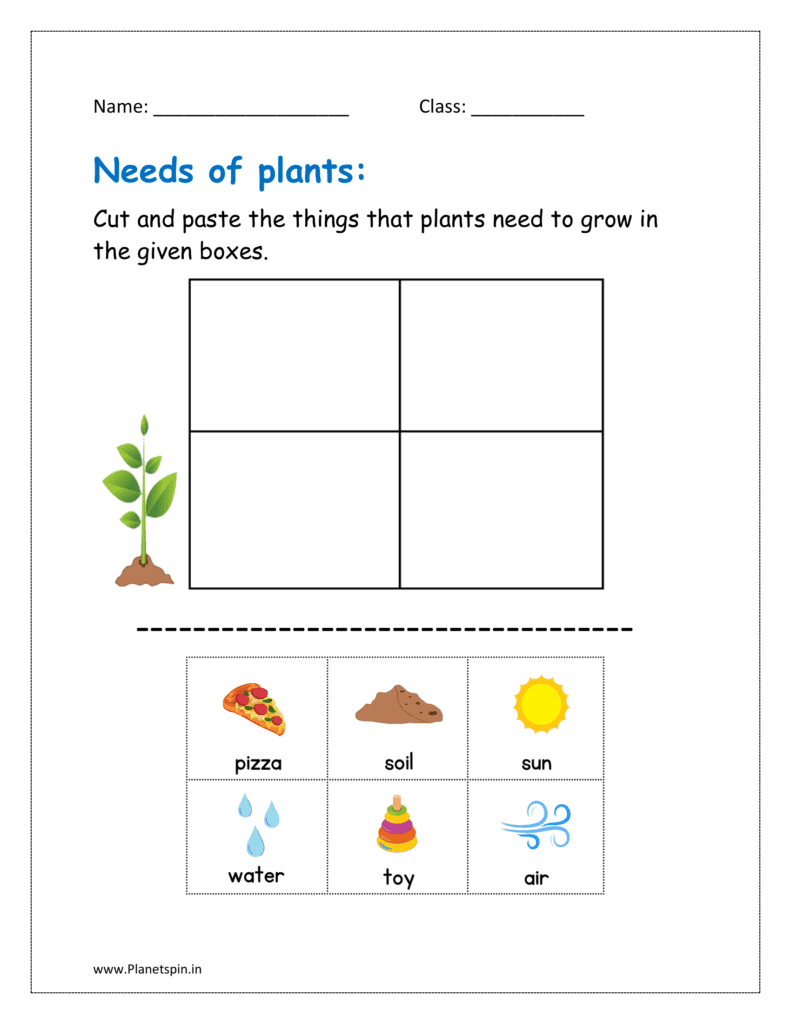 needs of plants worksheet for kindergarten