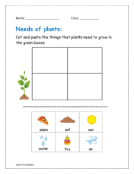 Cut and paste the things that plants need to grow in the given boxes