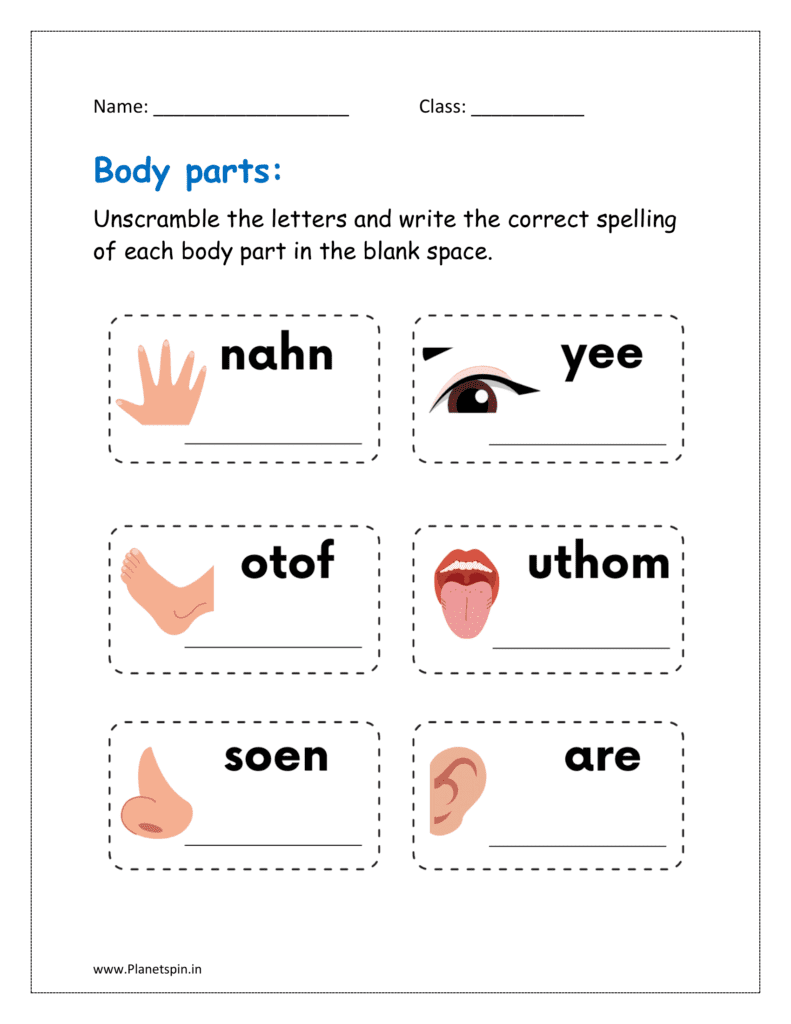 parts of the body printable worksheets for kindergarten