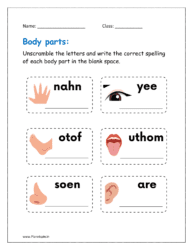 Unscramble the letters and write the correct spelling of each body part in the blank space (parts of the body worksheets for preschoolers)