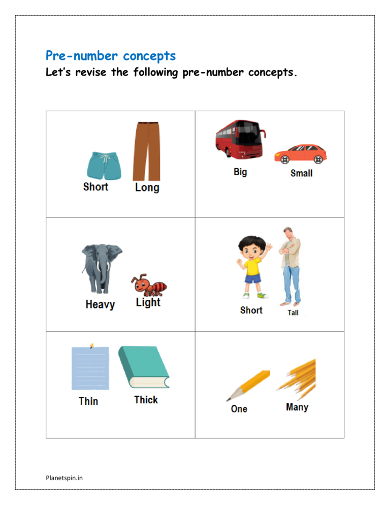 Worksheet on pre number concept for grade 1 | Planetspin.in