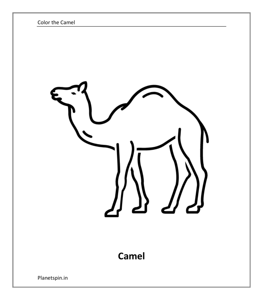 animal coloring pages kindergarten