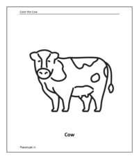 Animals coloring pages for kindergarten | Color Farm and wild Animals