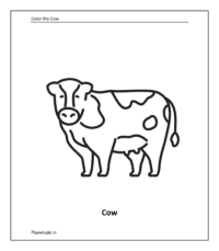 Animal color pages for kindergarten | Planetspin.in