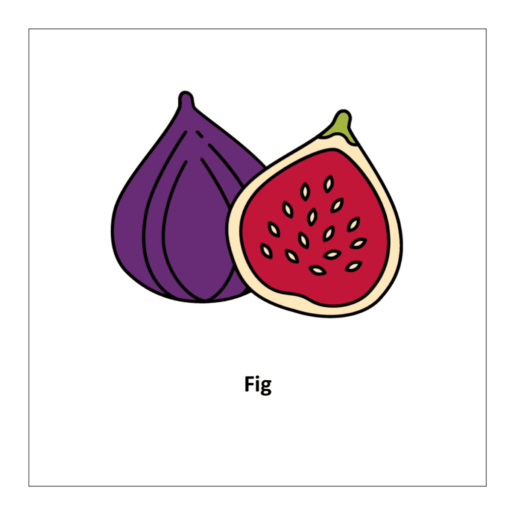 Fig