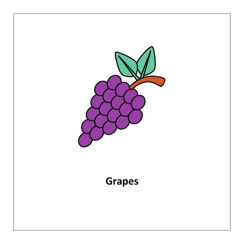 Flash card of fruits: Grapes (fruits flashcards for kindergarten)