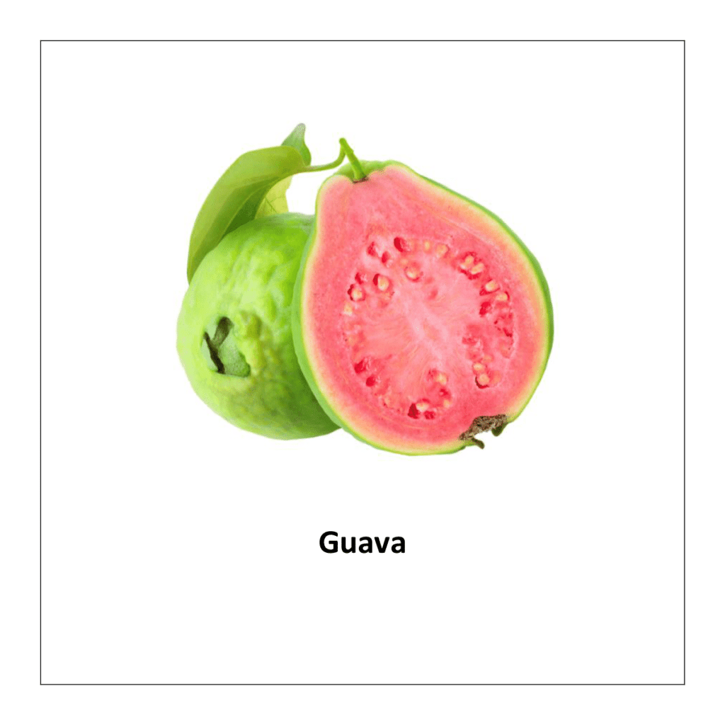 Flash card of fruits: Guava