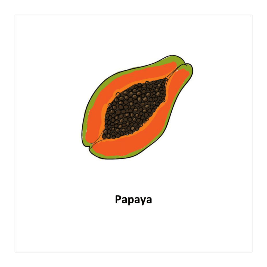 Papaya (fruits flashcards for kindergarten)