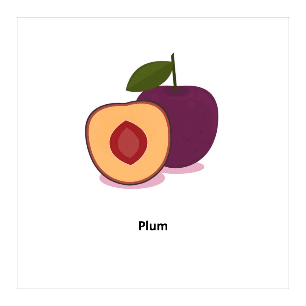 Plum