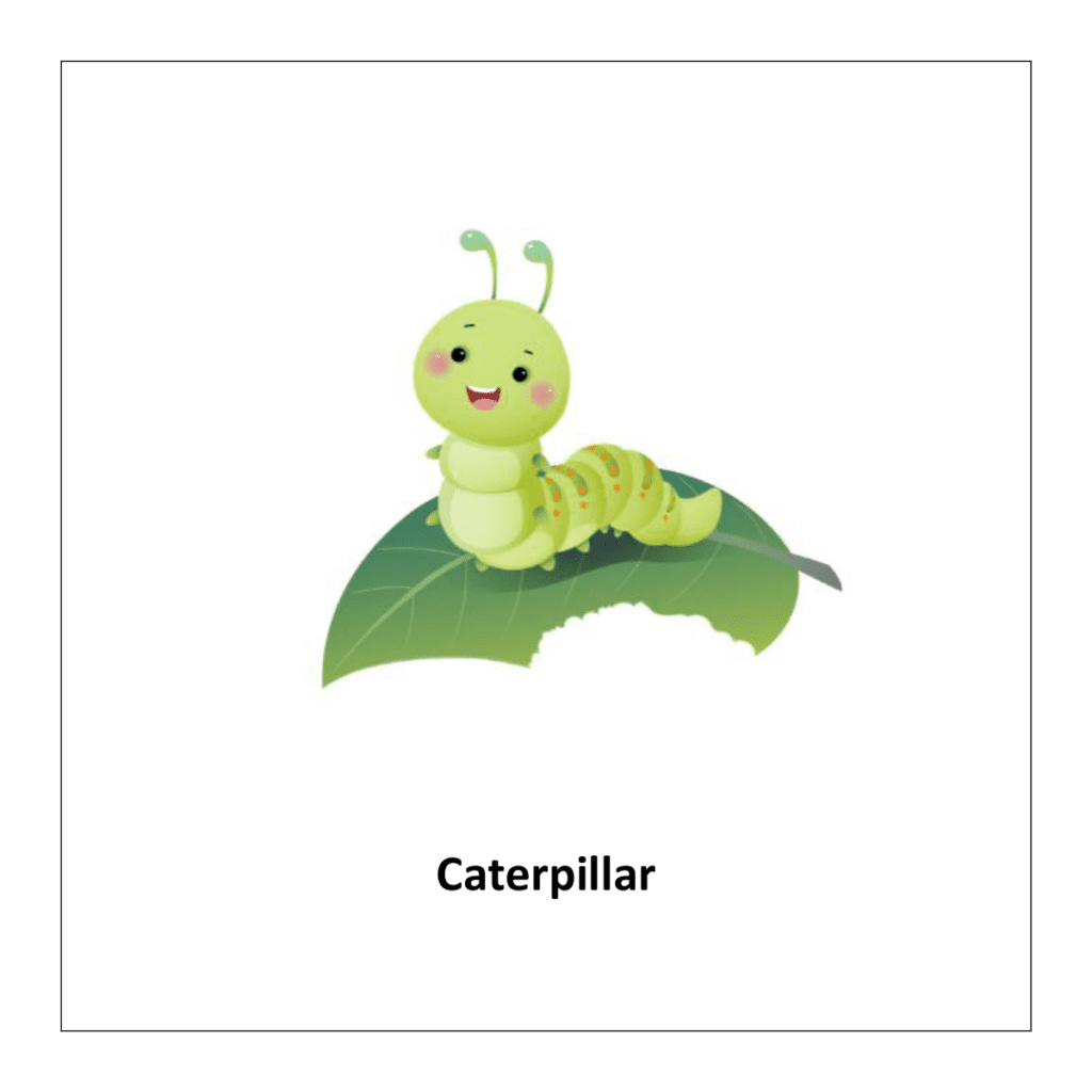 Caterpillar