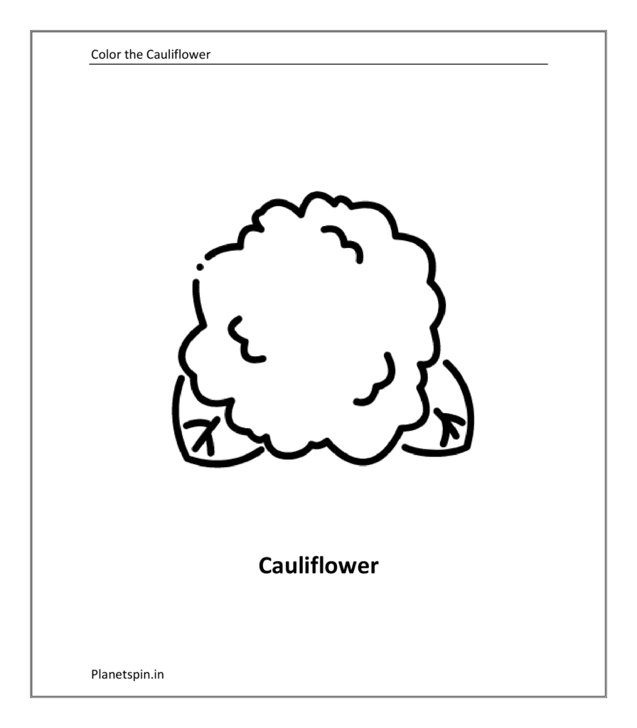 Vegetable coloring sheet: Cauliflower