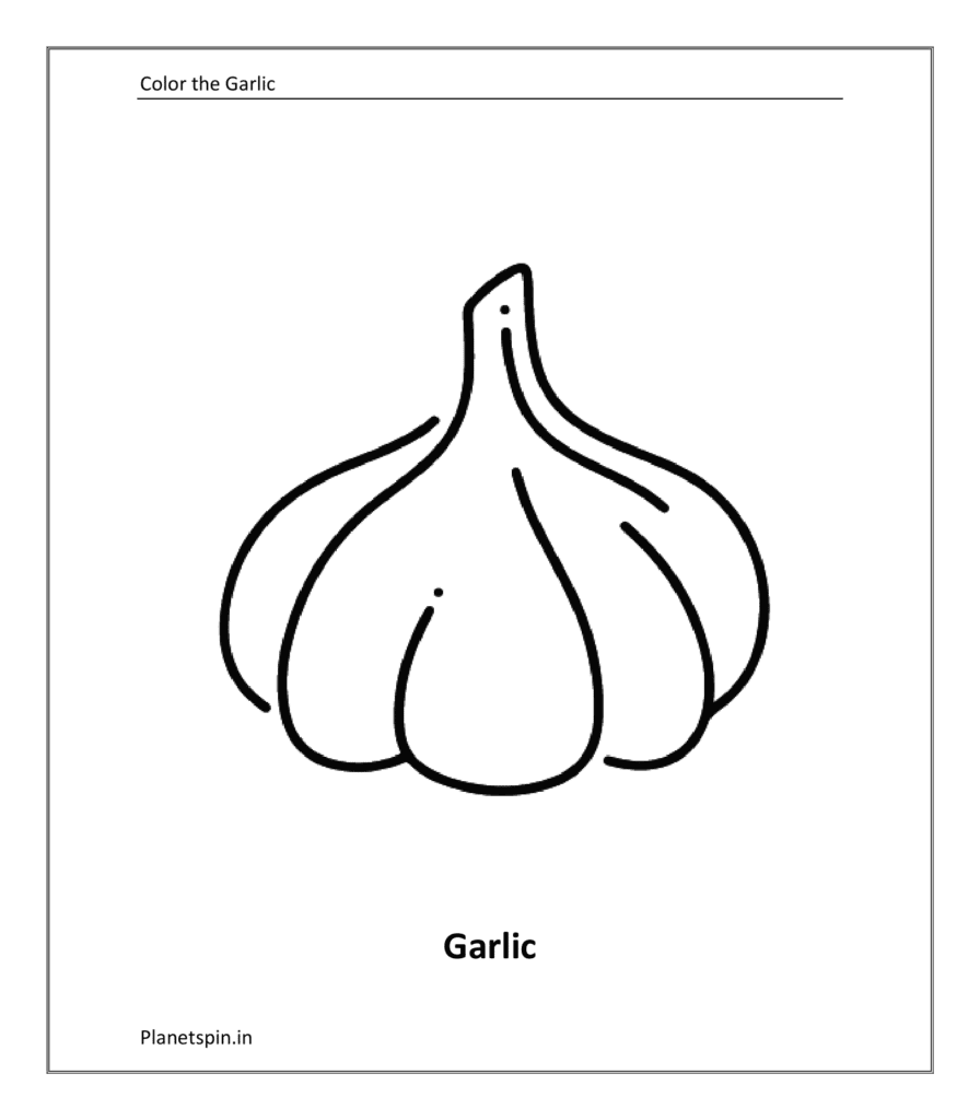 Vegetable coloring sheet: Garlic