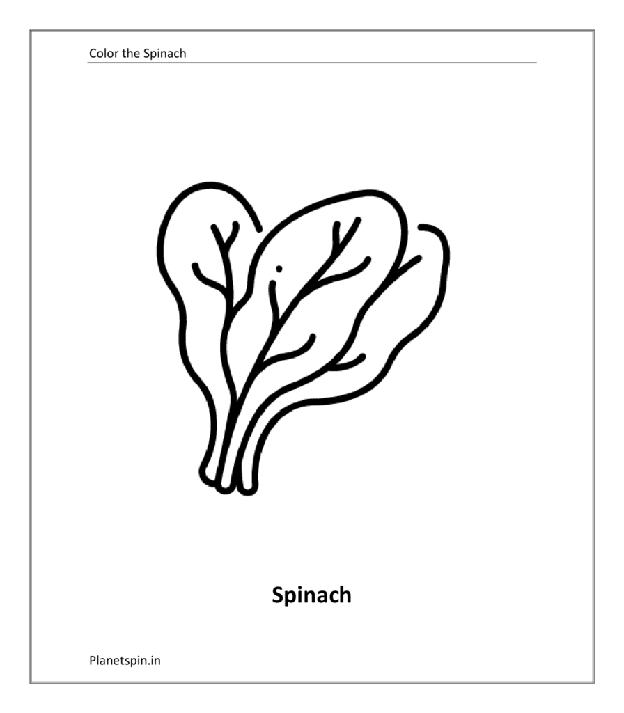 Spinach