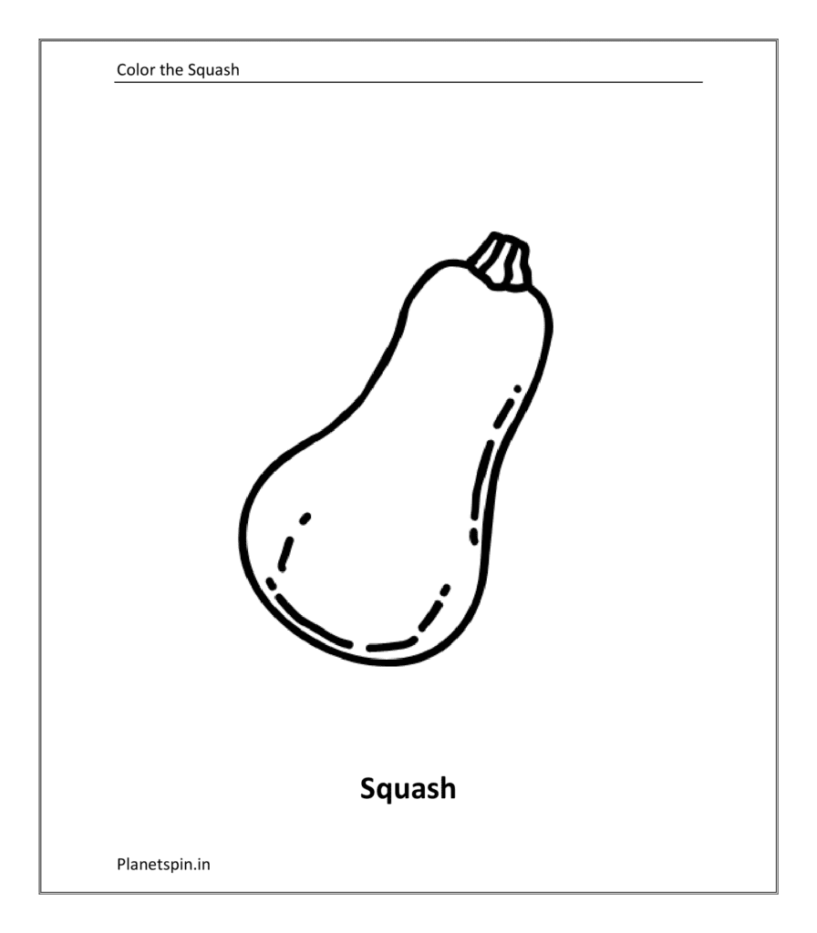 Squash