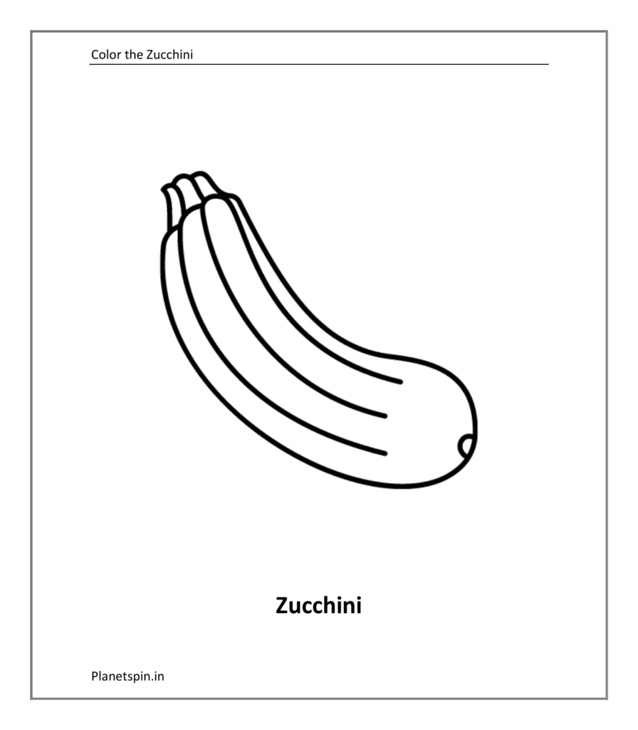  Zucchini