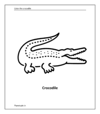 Wild animal coloring sheet: Crocodile