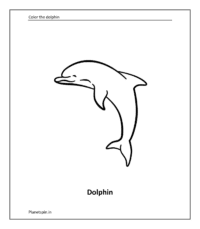 Wild animal coloring sheet: Dolphin