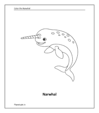 Narwhal coloring sheet