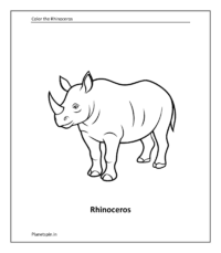 Rhinoceros coloring sheet