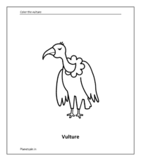 Wild animal coloring sheet: Vulture