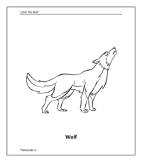 Wolf coloring sheet