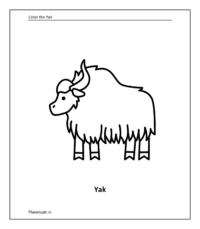 Yak coloring sheet