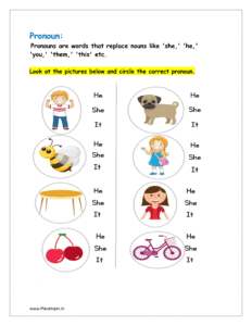 Look at the pictures below and circle the correct pronoun.