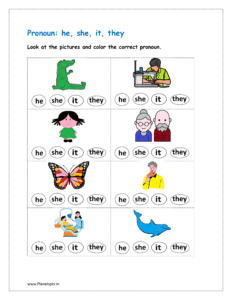 Look at the pictures and color the correct pronoun