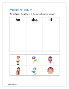 Cut and paste the pictures in the correct pronoun category