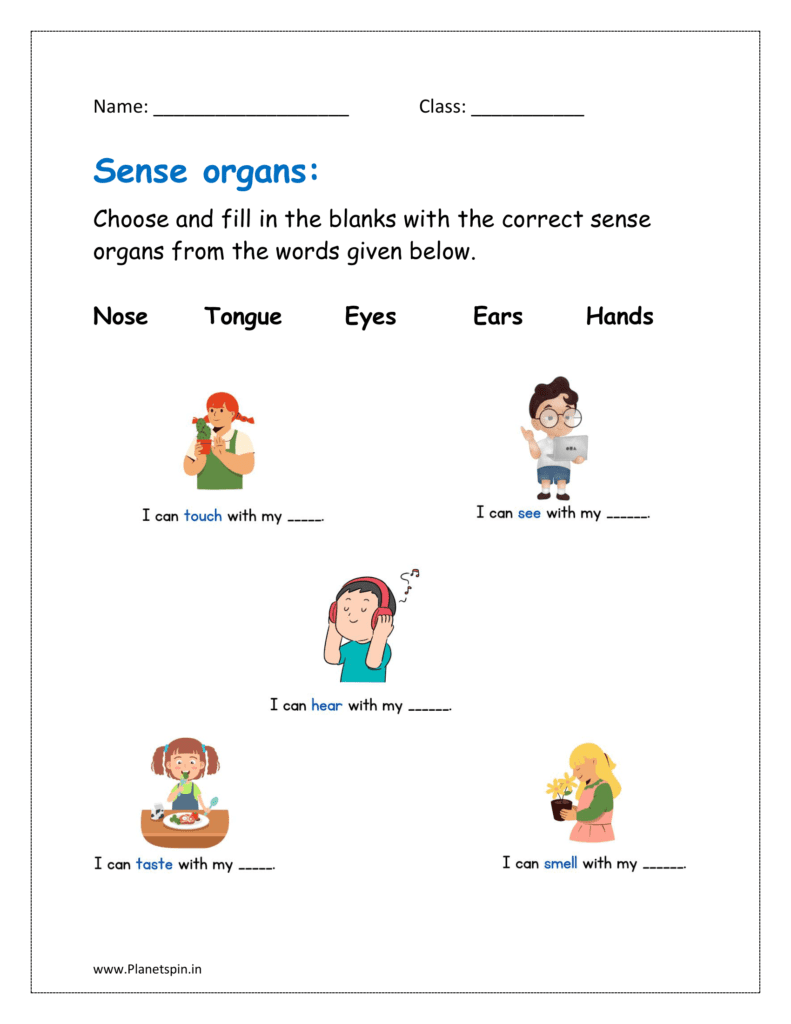 Choose and fill in the blanks with the correct sense organs from the words given below