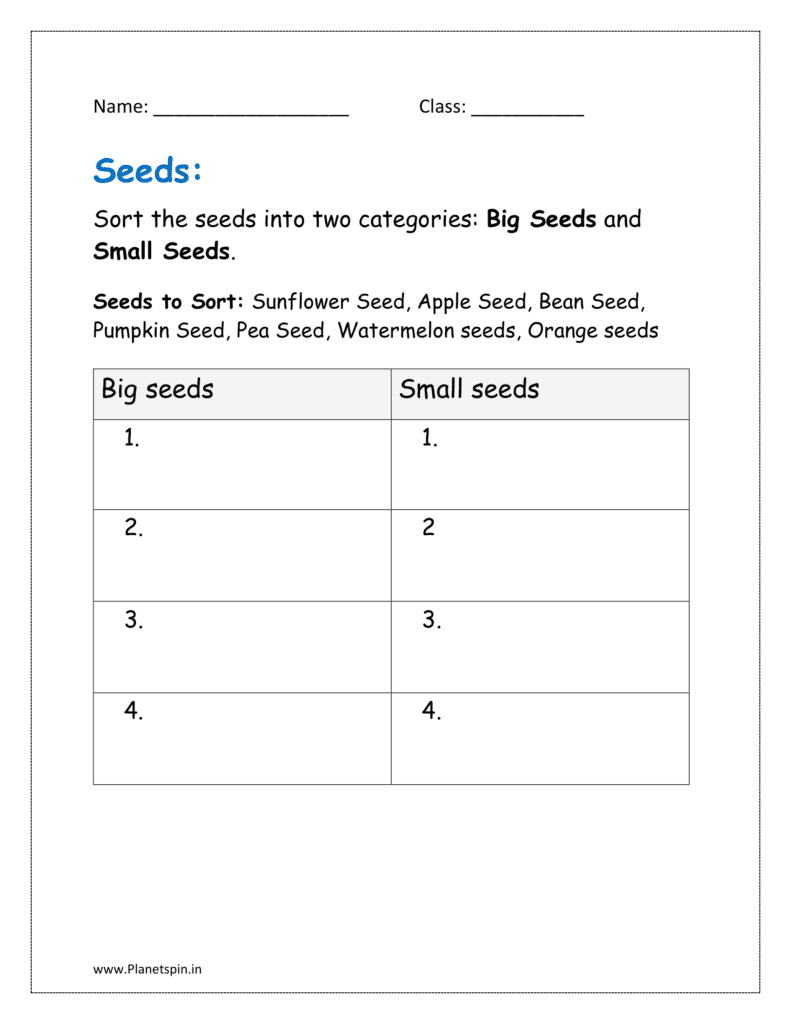 Sort the seeds into two categories: Big Seeds and Small Seeds.