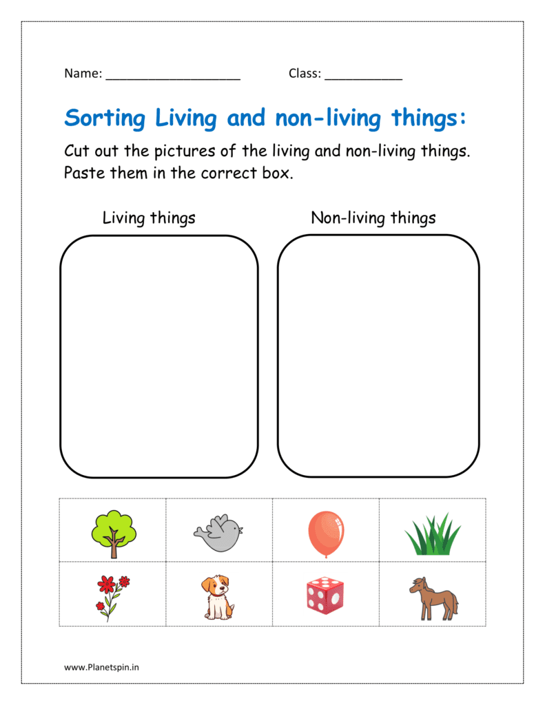 Cut out the pictures of the living and non-living thing. Paste them in the correct box.