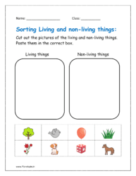 Cut out the pictures of the living and non-living thing. Paste them in the correct box.