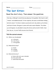 The lost Kitten short story including reading the comprehension and answering the questions like who what when where why how 