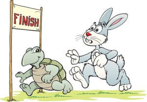 The Hare and the Tortoise | Planetspin.in