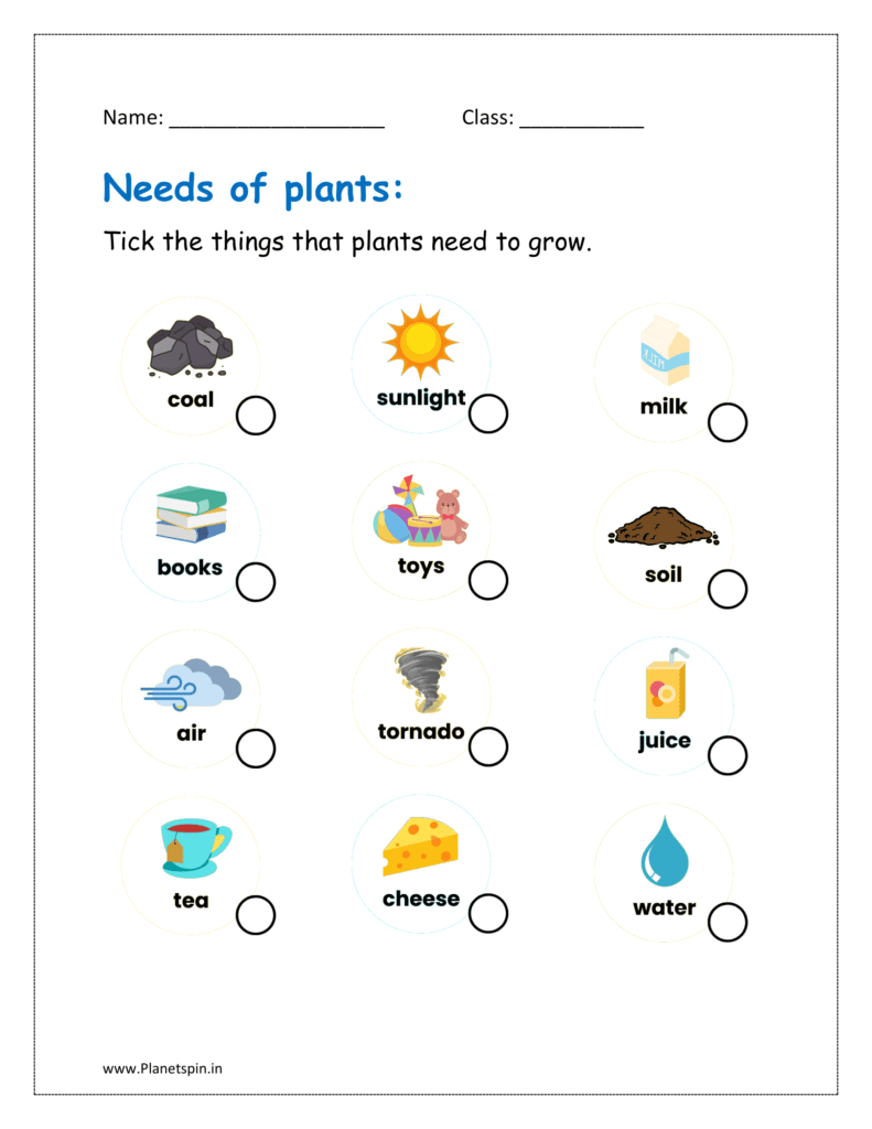 Tick the things that plants need to grow.