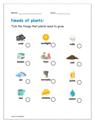 Tick the things that plants need to grow.