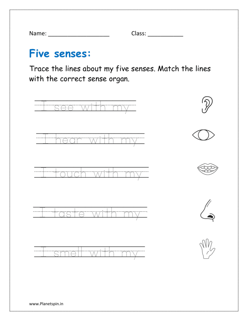 Trace the lines about my five senses. Match the lines with the correct sense organ