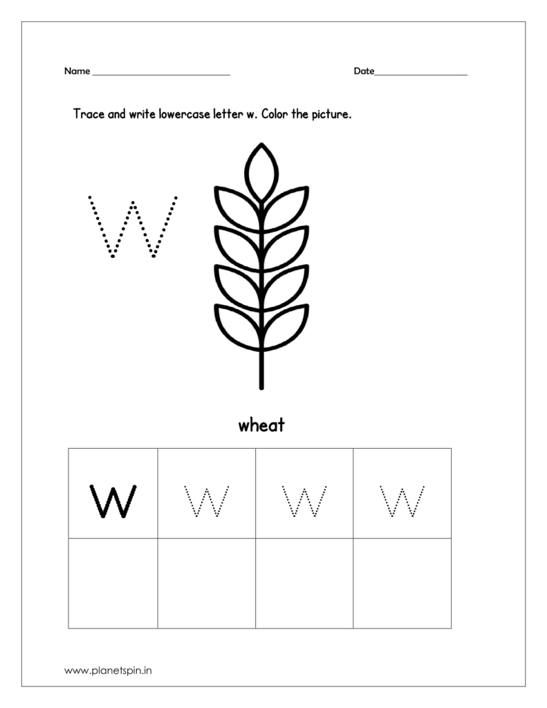 Trace and write the letter. Then color the picture (wheat).