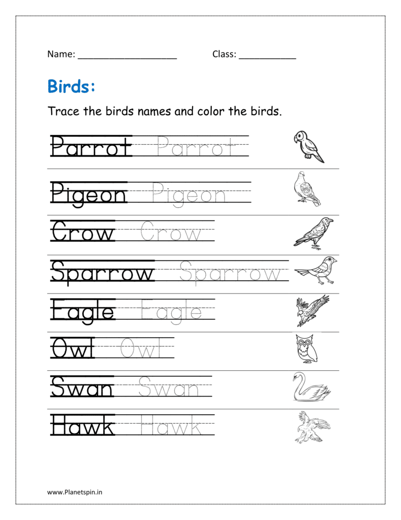 Trace the birds names and color the birds. 