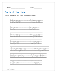Trace face parts names