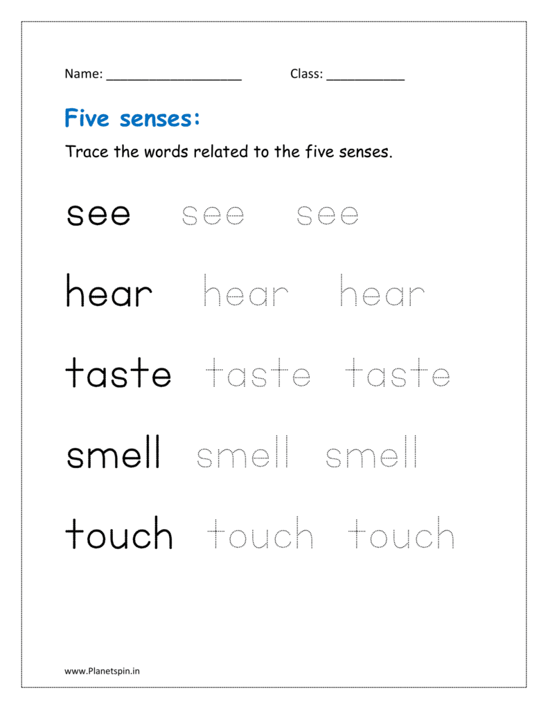 Trace the words related to the five senses.