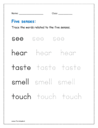 Trace the words related to the five senses.