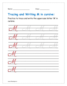 5. Trace and write uppercase letter M in cursive writing in free printable worksheet pdf