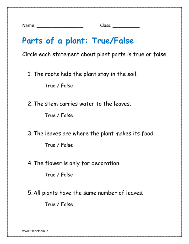 Circle each statement about plant parts is true or false on worksheet.