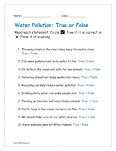 Circle True / False related water pollution statements.