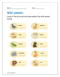 Look at the pictures and unscramble the wild animal words