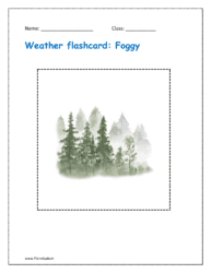 Weather flashcard: Foggy