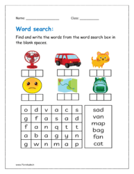 Find and write the words from the word search box in the blank spaces