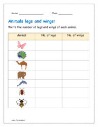 1: Write the number of legs and wings of each animal